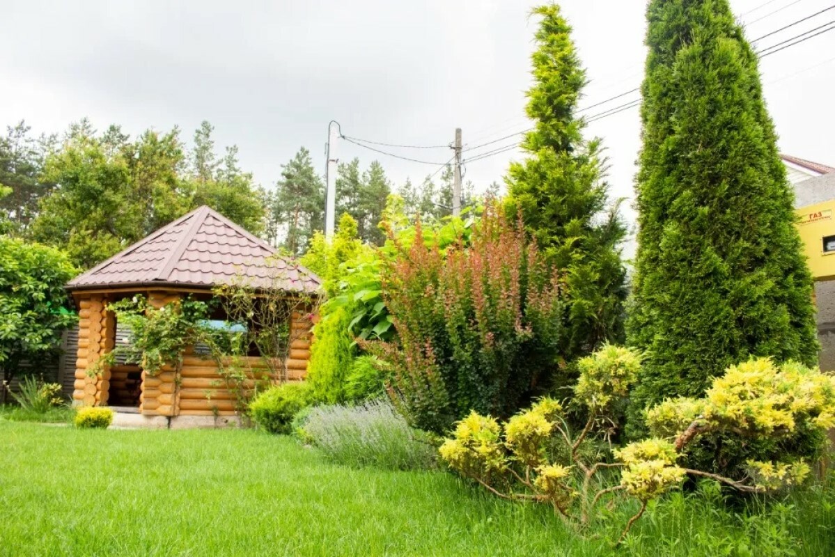 https://simferopol.tgv-stroy.ru/storage/app/uploads/public/637/ef4/fb3/637ef4fb3605f391429275.png